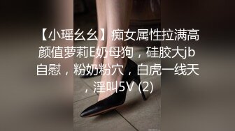 【小瑶幺幺】痴女属性拉满高颜值萝莉E奶母狗，硅胶大jb自慰，粉奶粉穴，白虎一线天，淫叫5V (2)