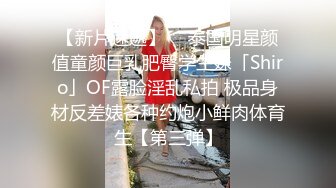 ✿秀人视频 芝芝-27 无罩无内，大尺度性诱惑 3V