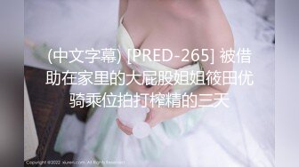 (中文字幕) [PRED-265] 被借助在家里的大屁股姐姐筱田优骑乘位拍打榨精的三天