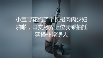 女警寻哥记