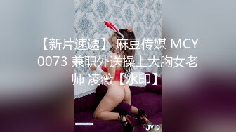 押尾猫-最新2019小乖猫咪