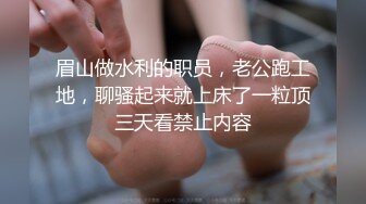 麻豆传媒映画 MD-0335 三姑六奶淫中秋 家庭内后宫争宠 中英字幕