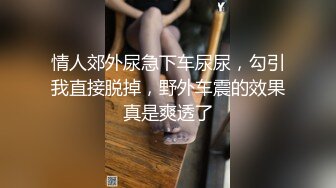 【溏心】【小桃酱】小桃女仆 侍奉旅途