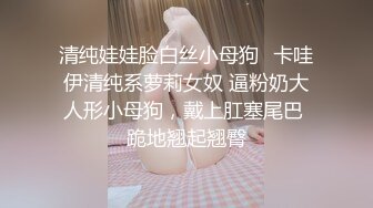 母狗的欢乐