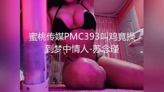 蜜桃传媒PMC393叫鸡竟操到梦中情人-苏念瑾