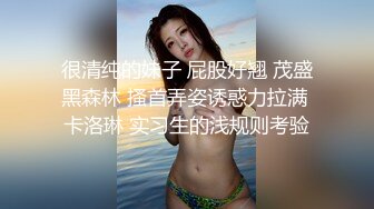 【第一视角探花】小伙深夜探楼凤，蜂腰翘臀后入，给你身临其境的感觉