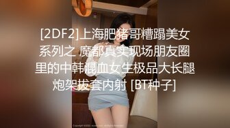 【极品骚货❤️反差婊】最新精选10套超高颜值美女生活淫乱私拍甄选 肥臀后入 脸穴同框 多种玩法 完美露脸 第①季