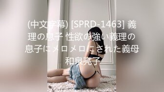 四驱兄弟-大战D杯高冷小女仆