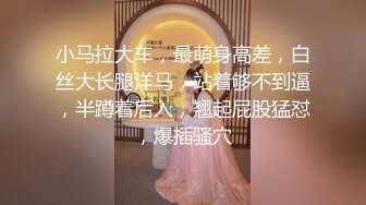 婕咪 小隻馬