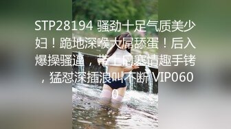 STP28194 骚劲十足气质美少妇！跪地深喉大屌舔蛋！后入爆操骚逼，带上口塞情趣手铐，猛怼深插浪叫不断 VIP0600