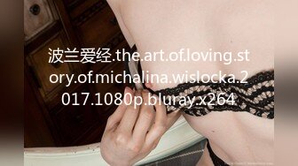 波兰爱经.the.art.of.loving.story.of.michalina.wislocka.2017.1080p.bluray.x264