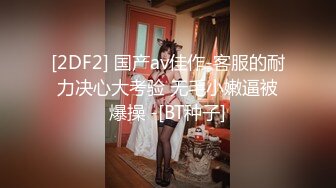 性爱肉欲女仆 001