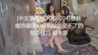 [中文字幕][CJOD-204]被魅魔持續侵犯感到酸甜受不了的那六個月 樞木葵