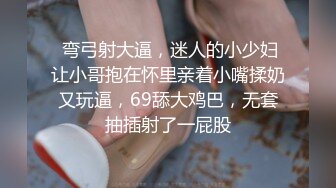  36D极品美乳小骚货，一对豪乳又大又白，粉色吊带网袜，粗大假屌插穴，搞的骚穴湿哒哒