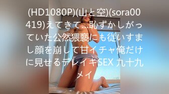 (HD1080P)(山と空)(sora00419)えてきて…恥ずかしがっていた公然猥褻にも従いすまし顔を崩して甘イチャ俺だけに見せるデレイキSEX 九十九メイ