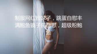 阿包也是兔娘 - 飞鸟马时