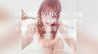 (中文字幕) [VENX-067] 父親が社員旅行で不在の隙にずっと憧れていた義母とヤリまくり中出し生活 川端成海