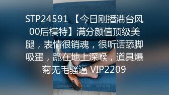 极品母狗青旅 ViViqinglv 3P4P群P淫乱白衬衣配黑丝视图写真