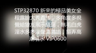 可盐可甜女菩萨，推特极品大奶美乳女神【糕糕】VIP私拍，可爱双马尾裸舞脱衣挑逗，诱惑难挡 (30)