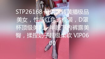 欧美VIXEN系列2019年01月-02月1080P高清作品合集更新,(4)