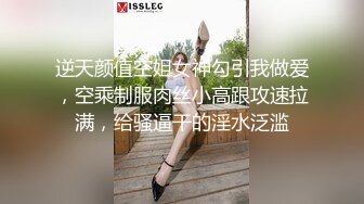 逆天颜值空姐女神勾引我做爱，空乘制服肉丝小高跟攻速拉满，给骚逼干的淫水泛滥