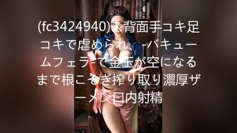 働く痴女系お姉さん vol.20 仕事中でも発情しっぱなしのドエロ痴女に翻弄される3时间 美ノ嶋めぐり【MGSだけのおまけ映像付き+15分】