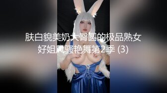 摄影师大神【huafox】唯美风格专业国模私拍，女神众多，露脸的不少，推荐一看