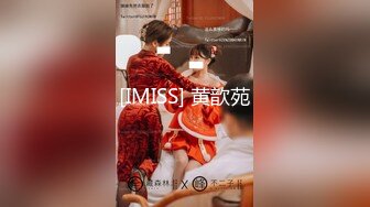 【新片速遞】 私房厕拍大神晓月潜入餐厅女厕偷拍❤️圆臀女+口罩小美女